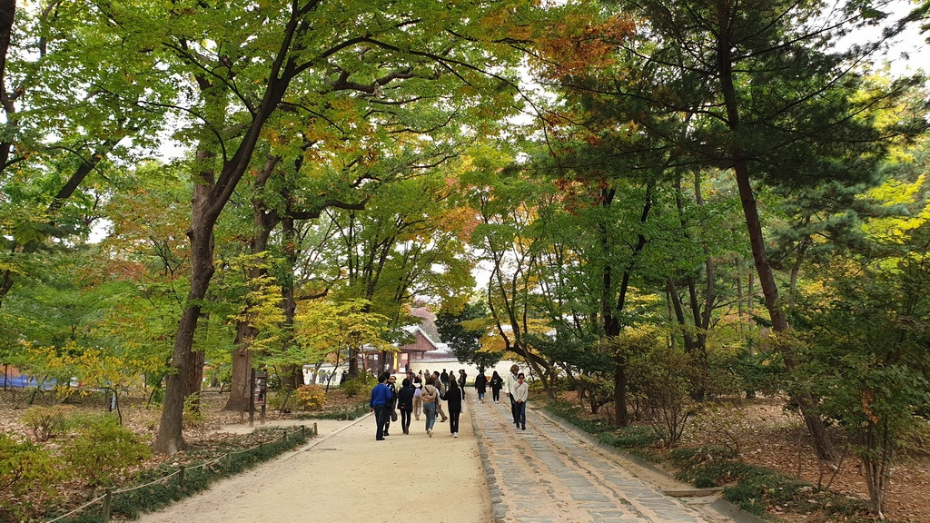 종묘 20191102_(12)_resize.jpg