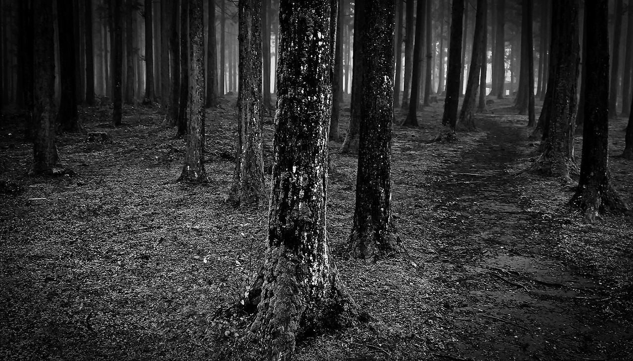 14X8(14) 제주 오 copy.jpg