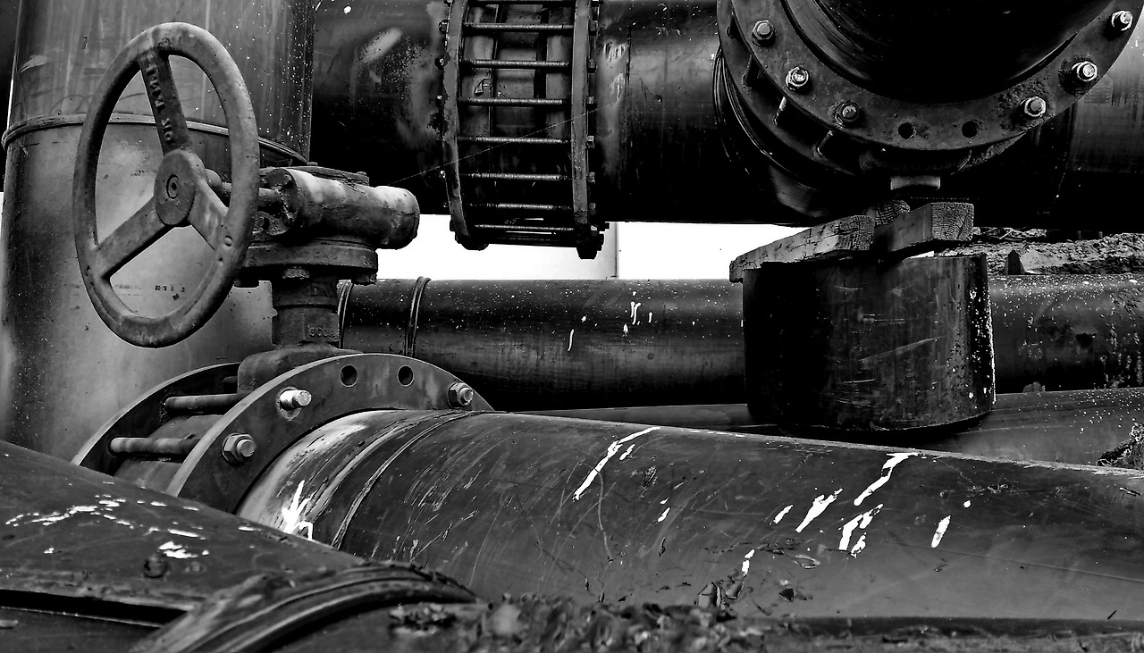 14X8 (2)제주 이.jpg