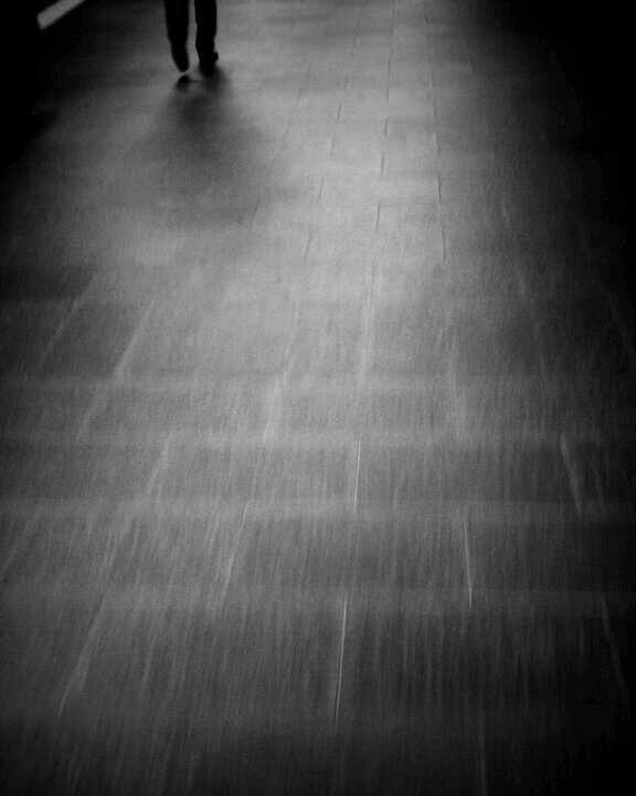 a_phontographer(5) copy.jpg