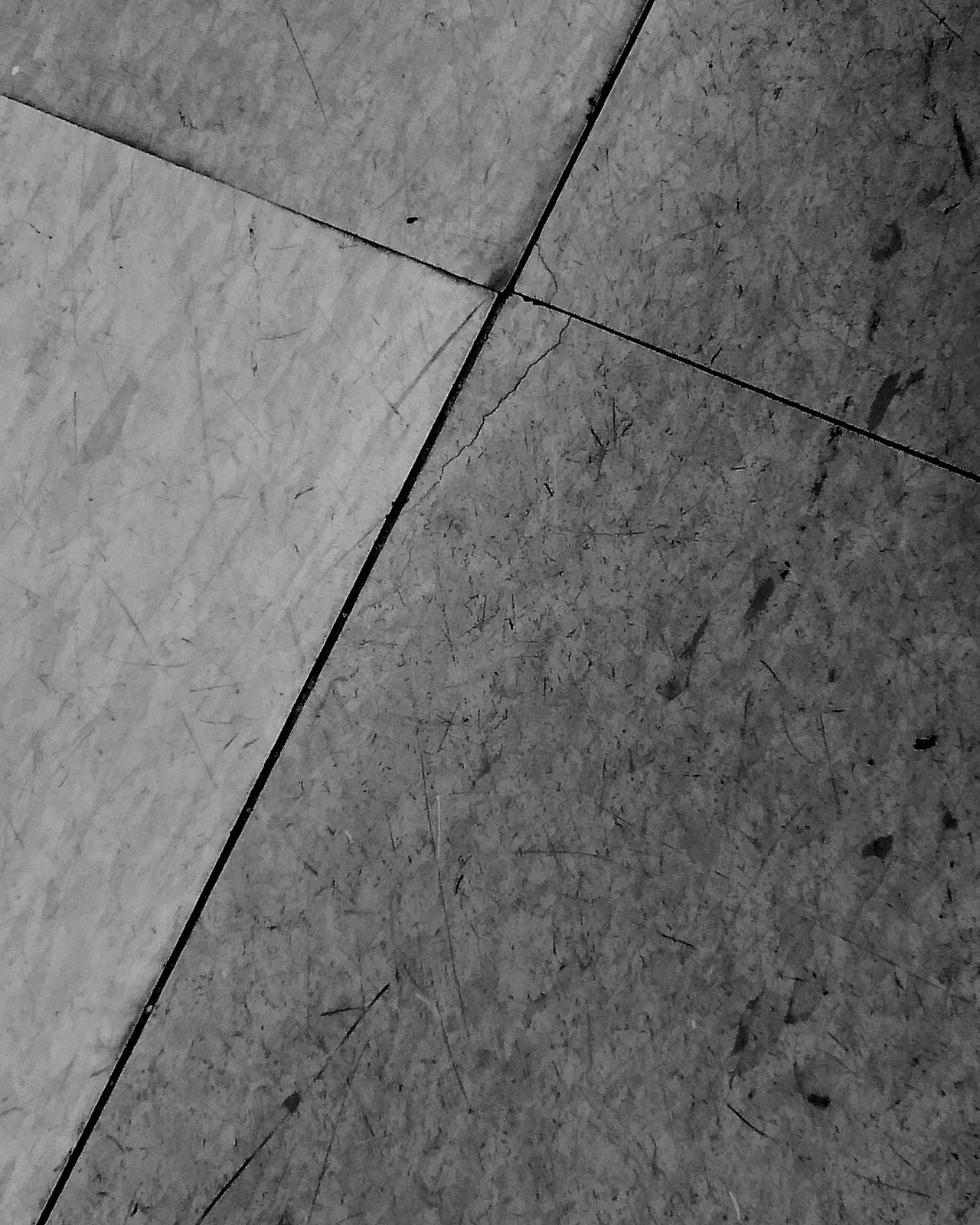 a_phontographer(10) copy.jpg