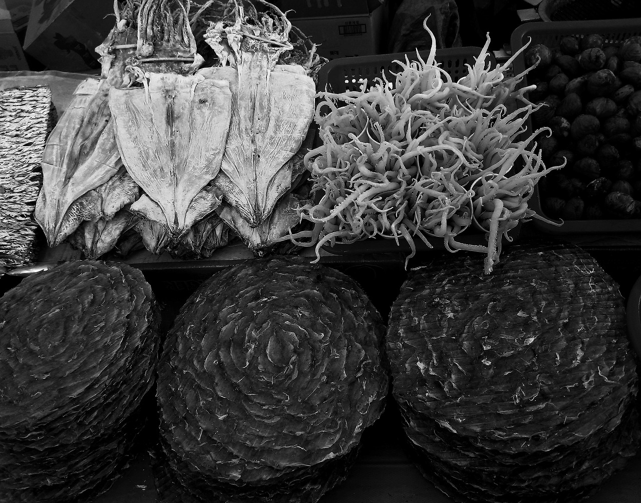 11X14 (13)장충동.jpg