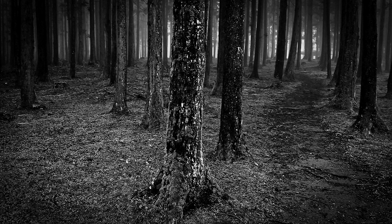 14X8(14) 제주 오 copy.jpg