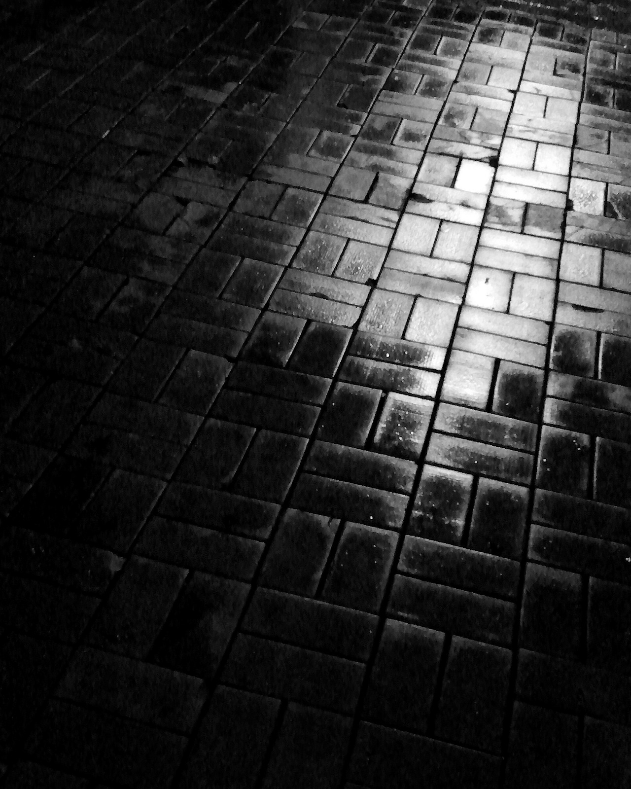 a_phontographer(8) copy.jpg