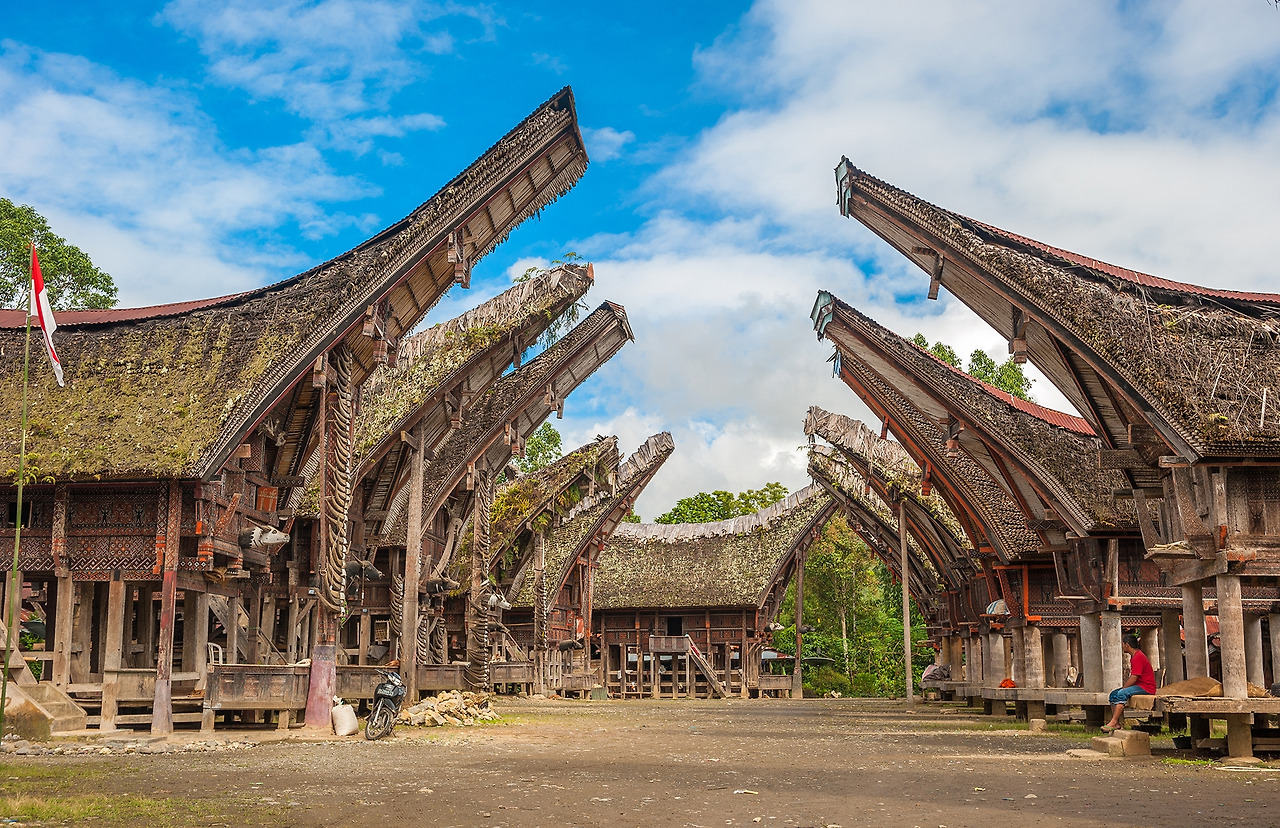 Tongkonan houses, traditional Torajan buildings, Tana Toraja, Sulawesi.jpg