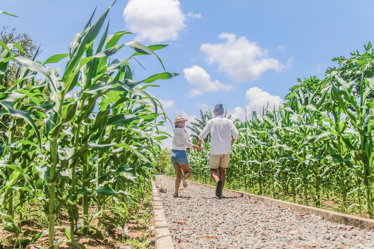 Bintan Eco Farm IMG_1807.jpg