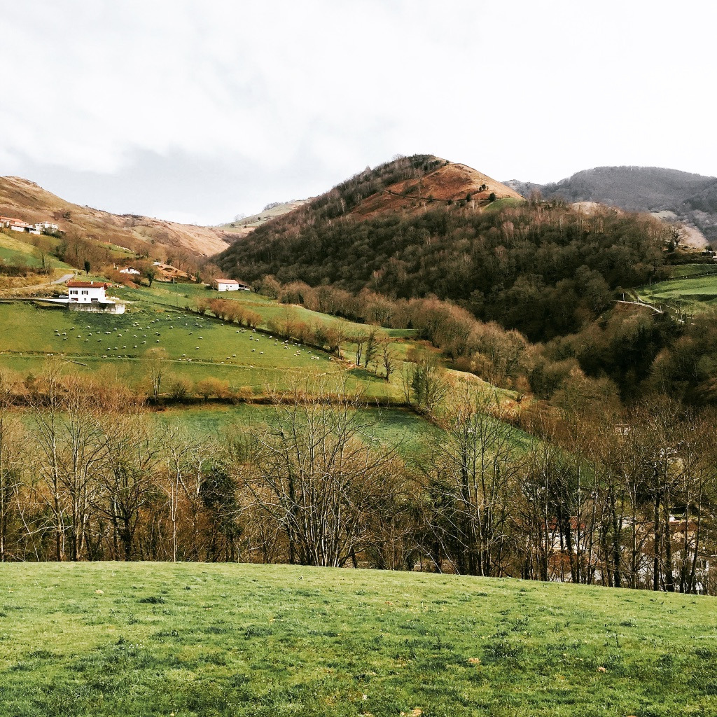 7. 벌꺼를로스가는길.jpg