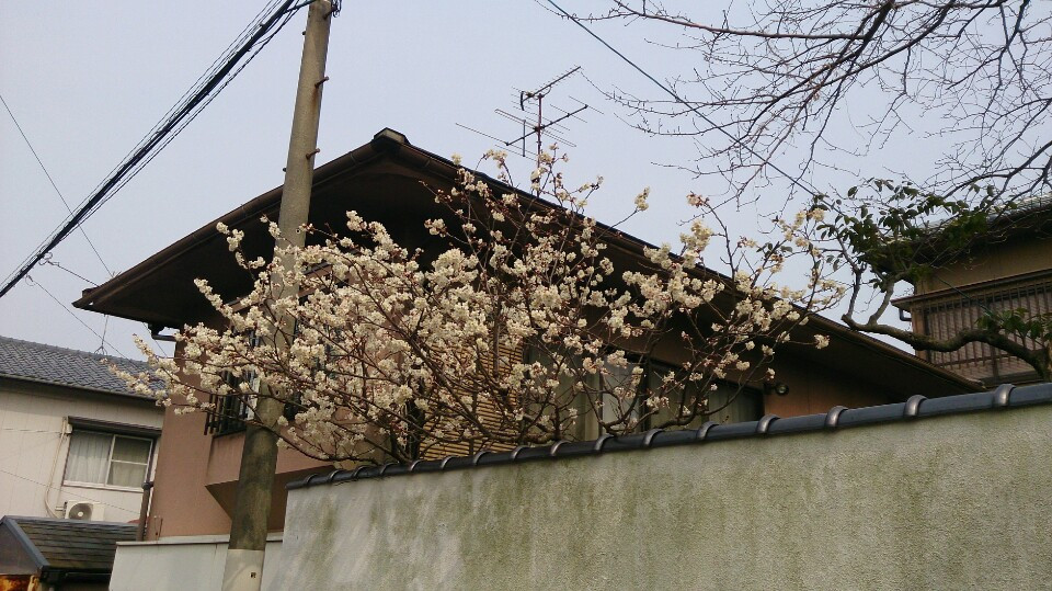 140228 회사 조이풀 근처 동네5.jpg