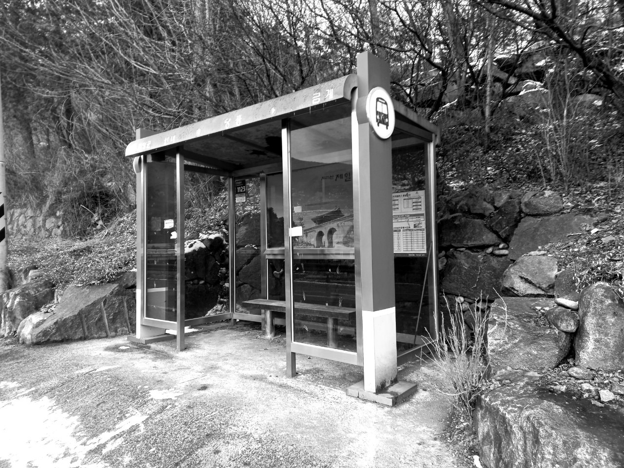 지리산 커피 줄라이_사진_20231224_3.jpg