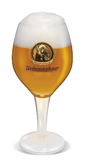 비투스 잔.jpg