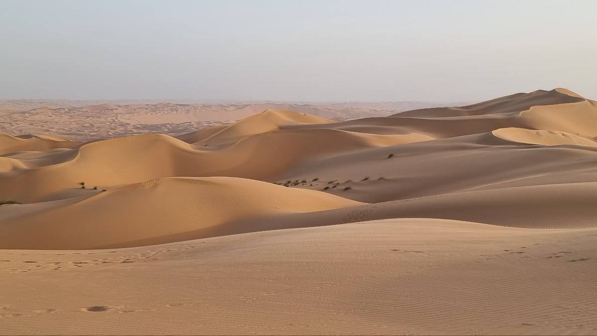 2025-03-03 13.27.59.jpg