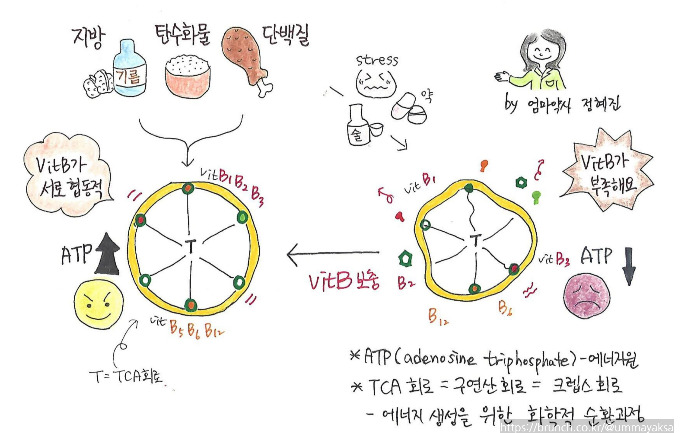 비타민B크랩2.jpg