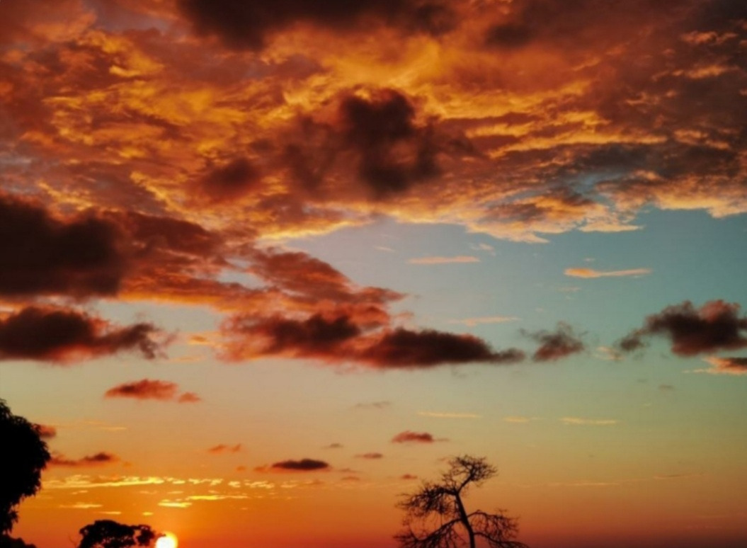 코스타리카 하늘2.jpg