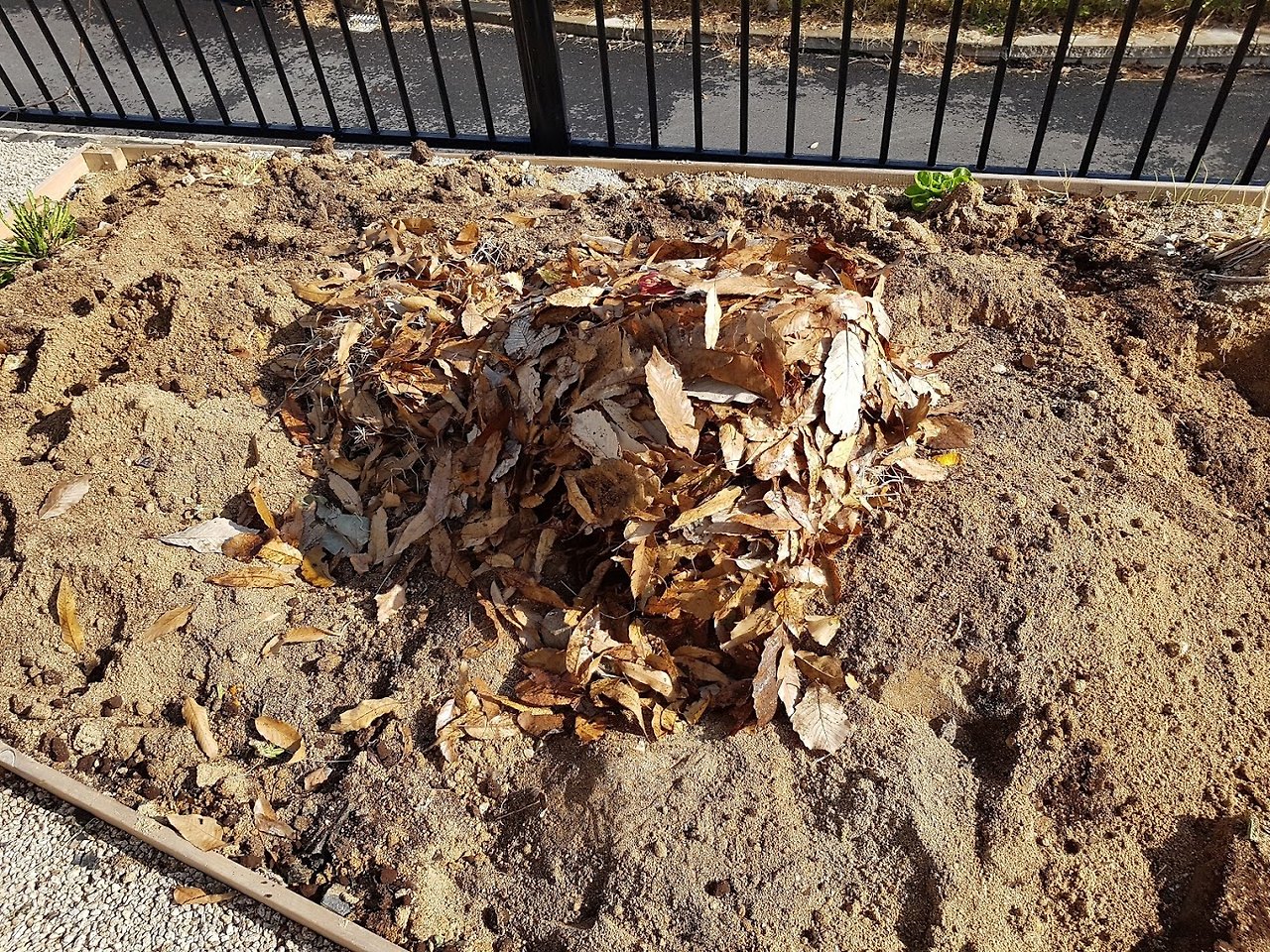 20171114_110016 - 복사본.jpg