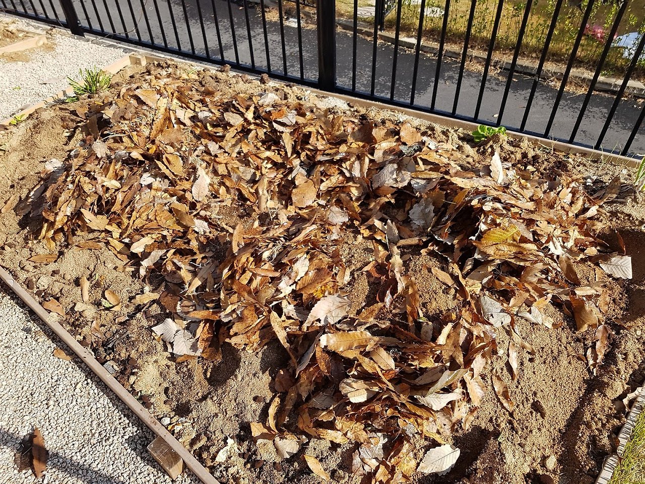 20171114_110046 - 복사본.jpg