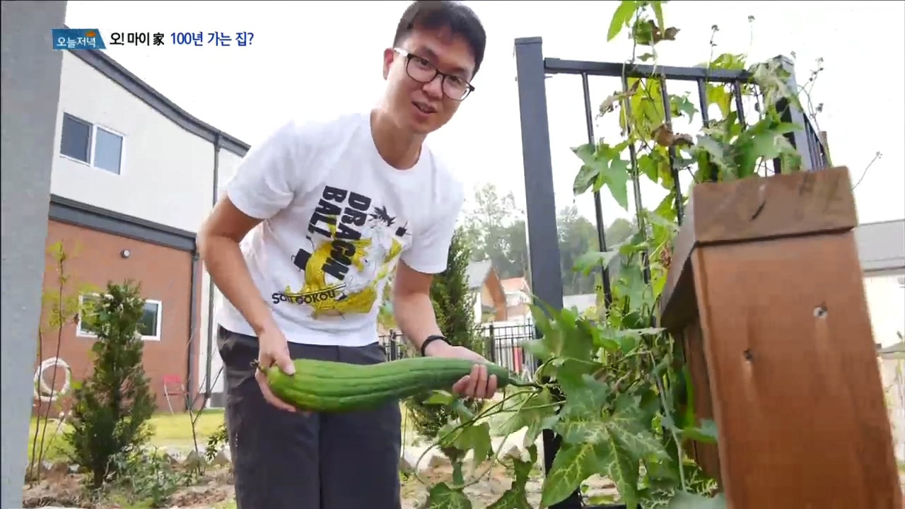 오마이가_100년가는집.mp4_20171017_094302.817.jpg