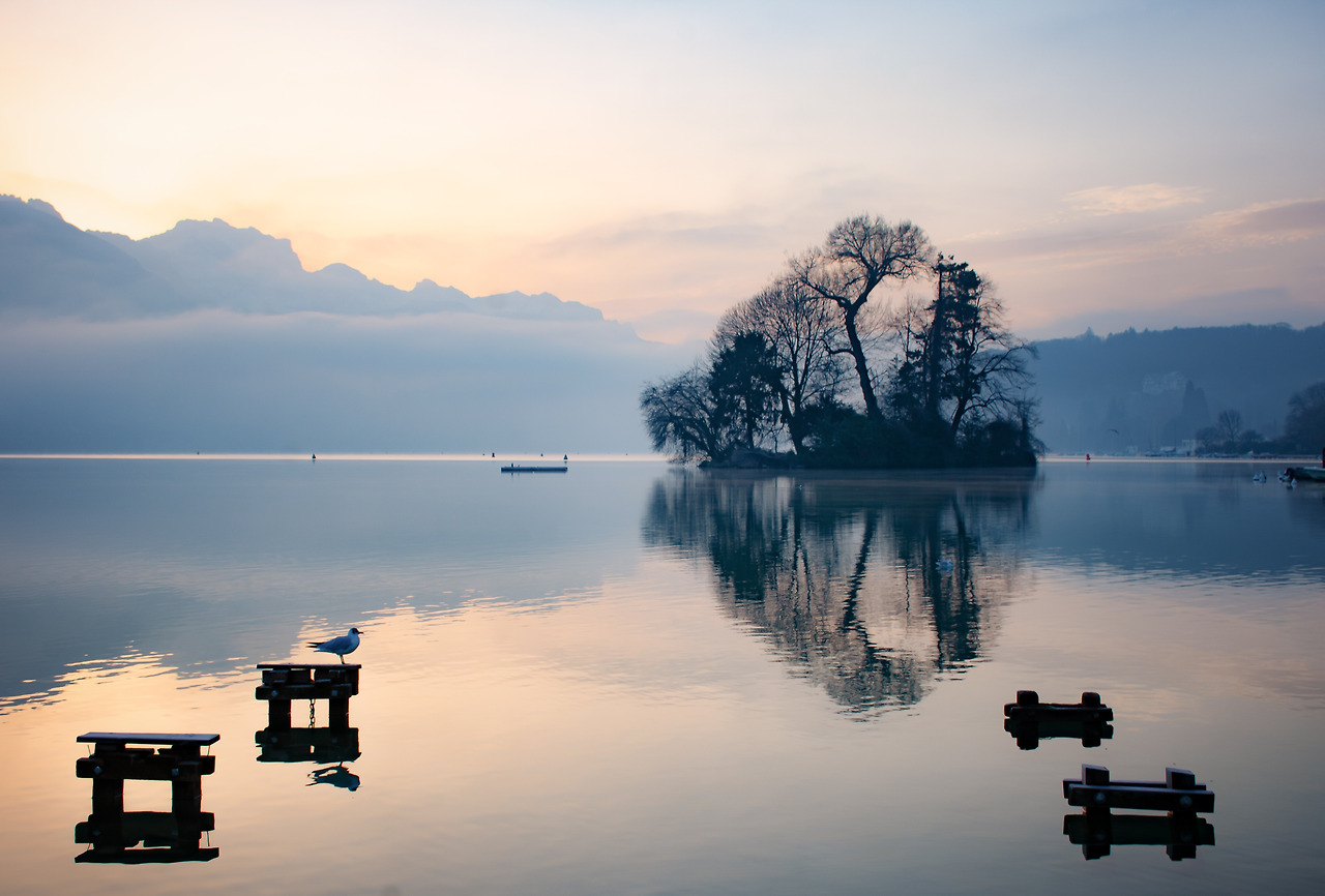 zen-sunrise-by-the-lake-2022-03-13-08-29-14-utc.jpg
