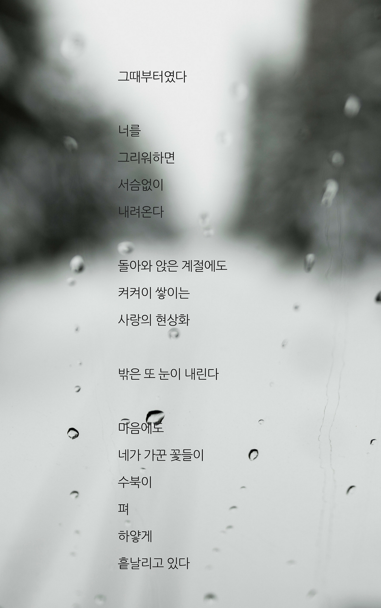 그때부터였다너를 그리워하면서슴없이내려온다돌아와 앉은 계절에도켜켜이 쌓이는사랑의 현상화밖은 또 눈이 내린다마음에도네가 가꾼 꽃들이수북이펴하얗게흩날리고 있다.jpg