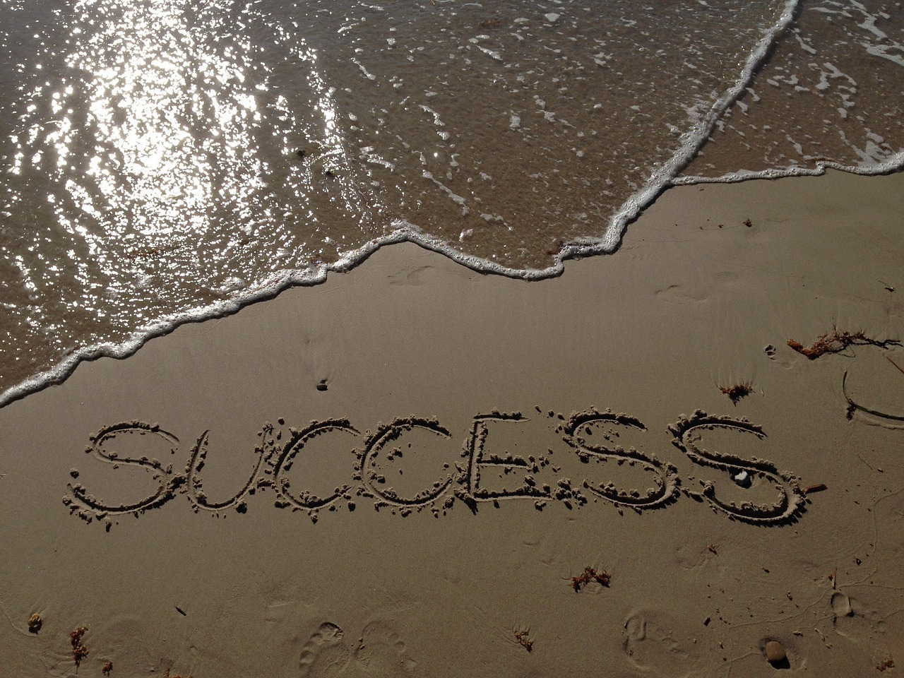 success-1909823_1280.jpg