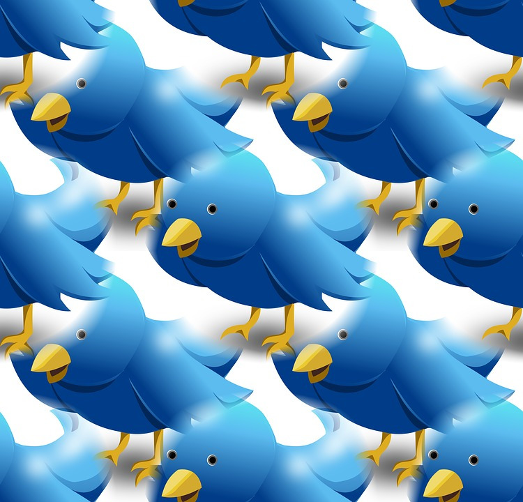 twitter-1138522_960_720.jpg