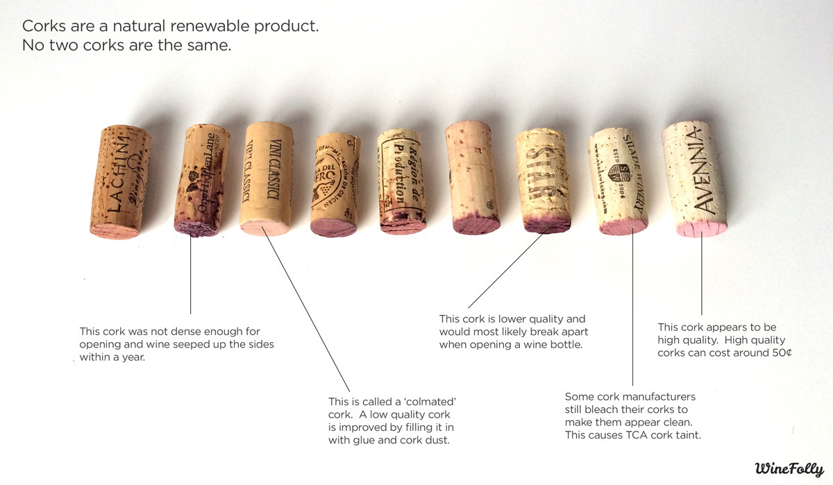 different-types-of-wine-corks.jpg