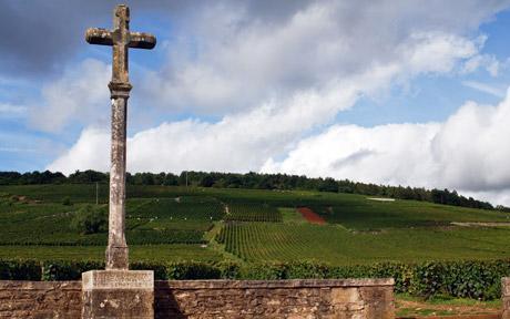 romanee-conti-2_1630905c.jpg