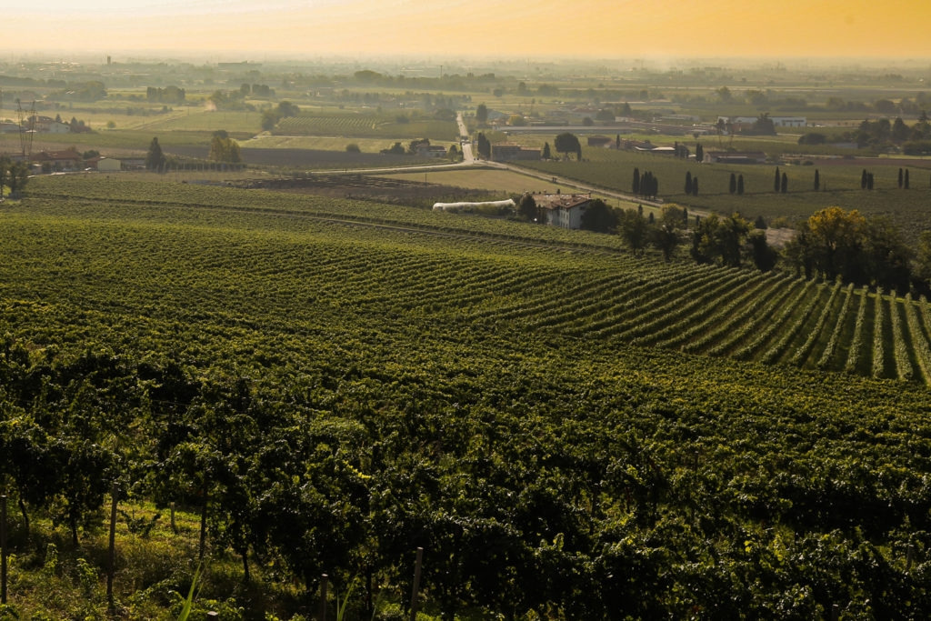 Montedelfra_LB20170922_344-1024x683 (1).jpg