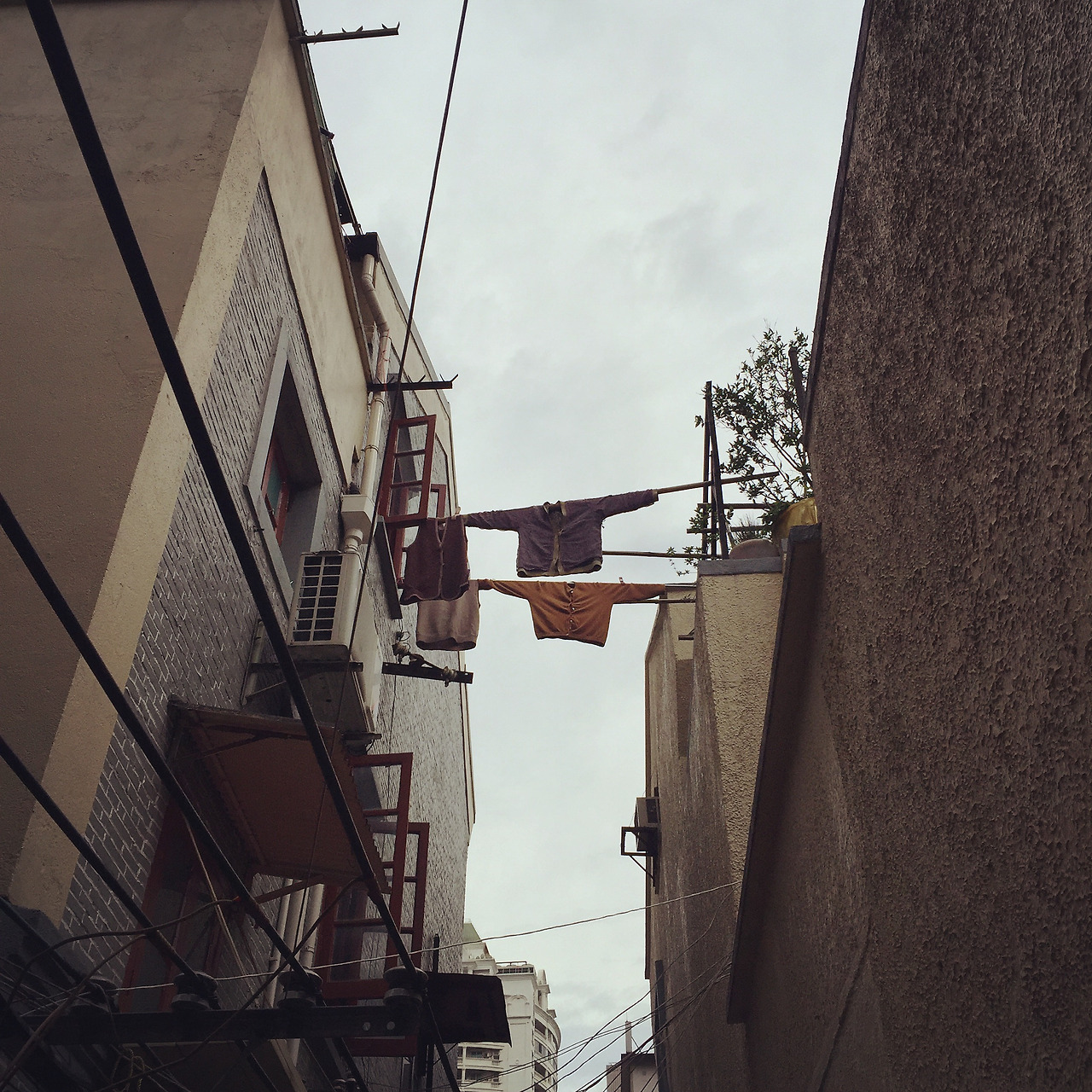 2016-06-19 152246(1).jpg