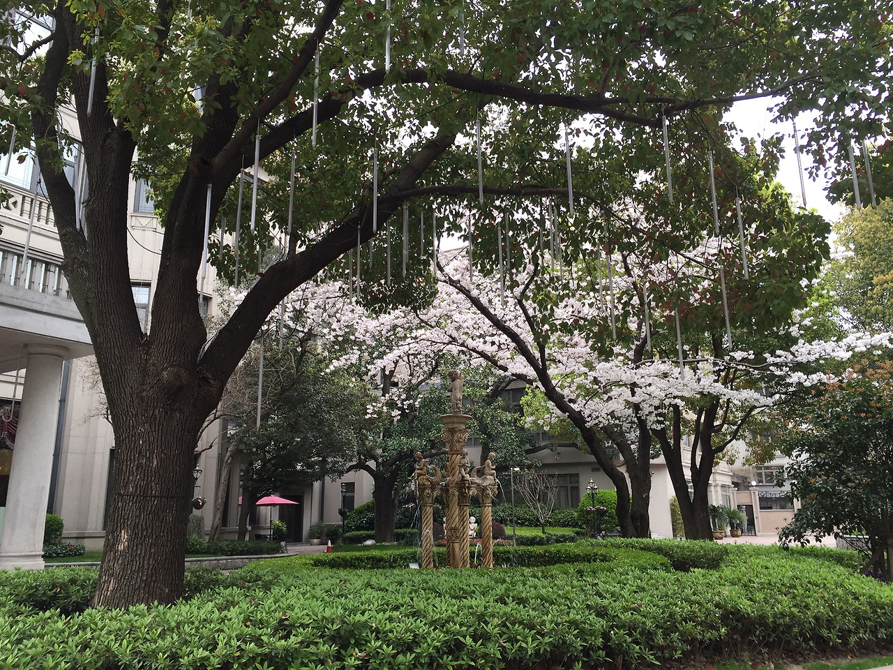 WeChat Image_20190424192314.jpg