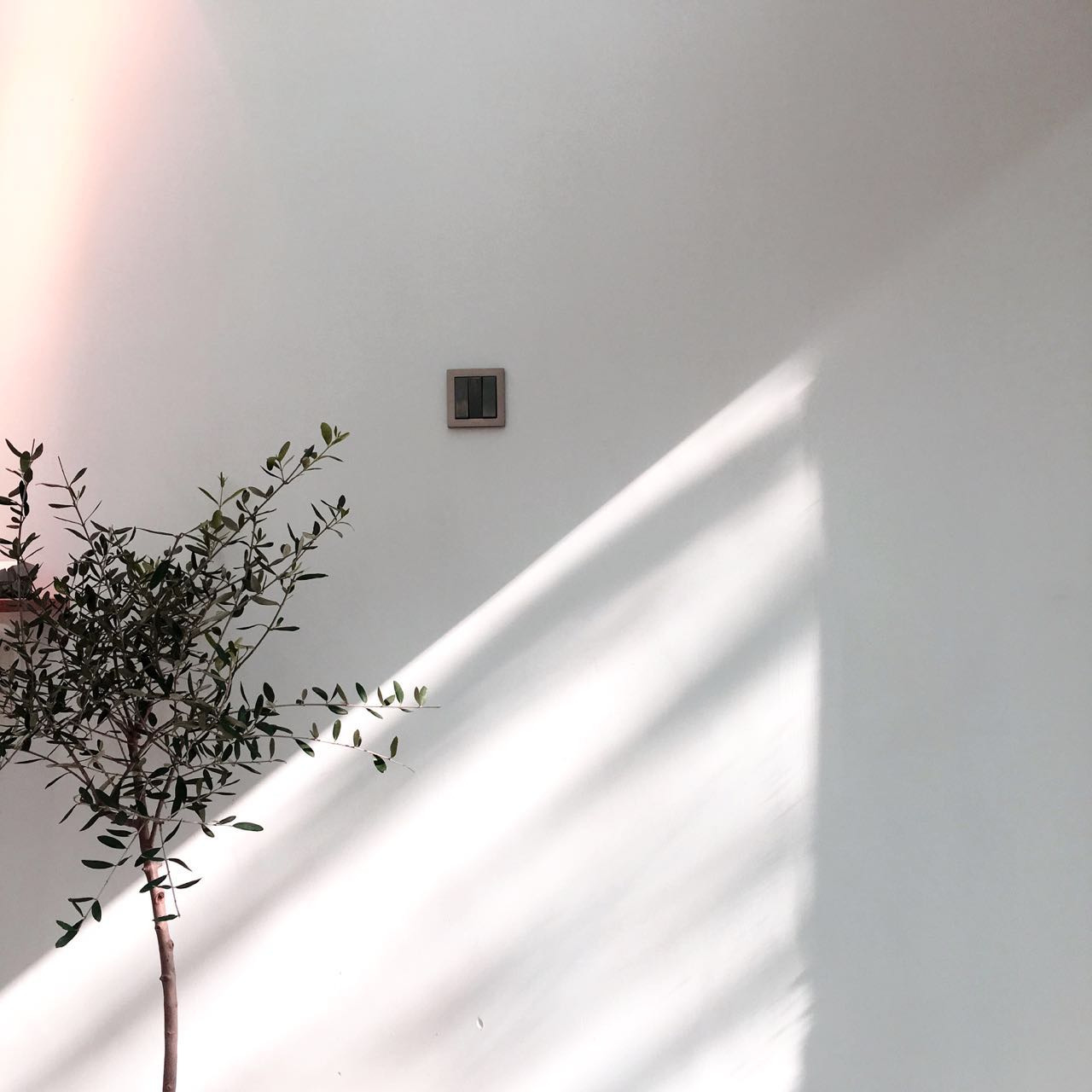 2016-12-17 034638.jpg