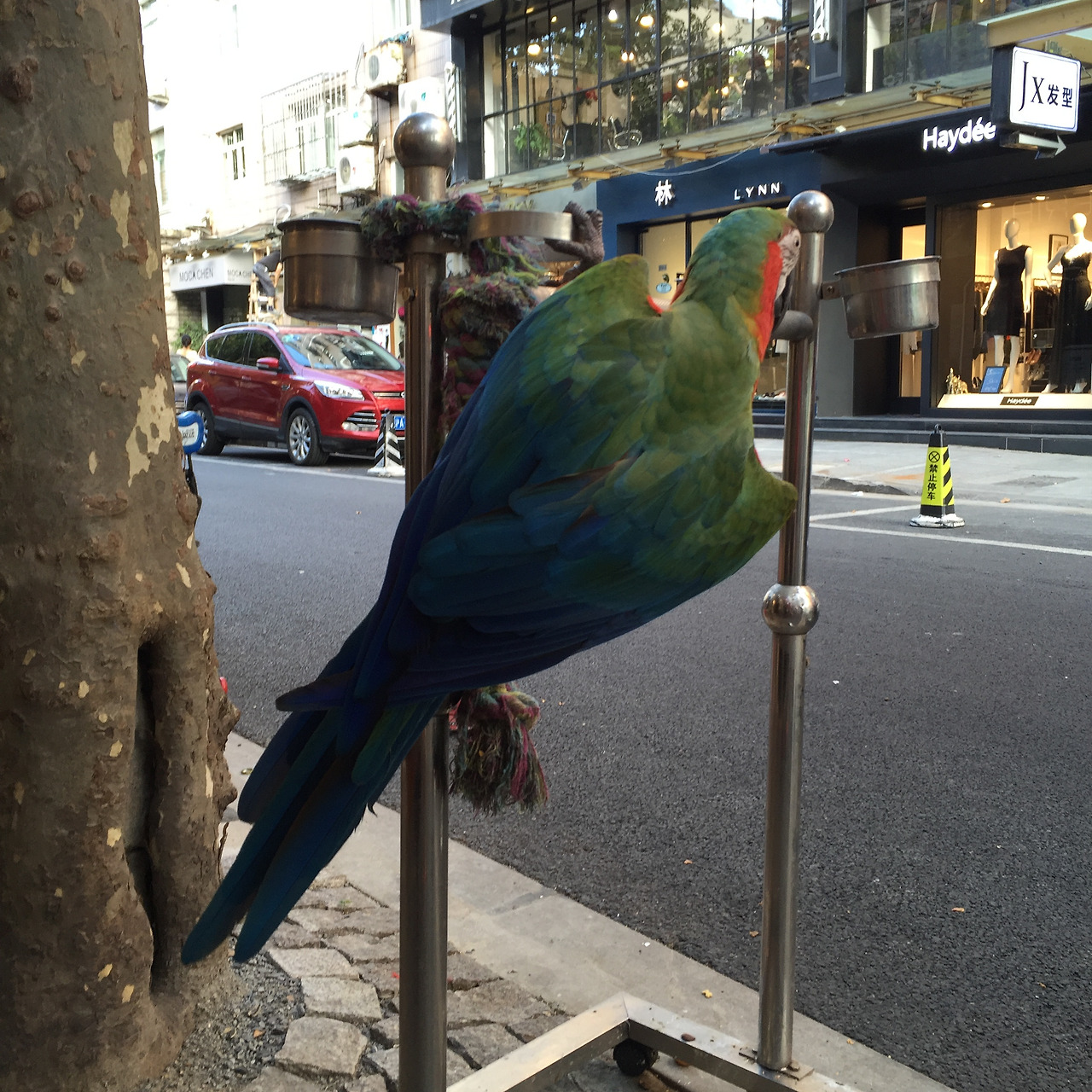 2016-07-31 174420.jpg