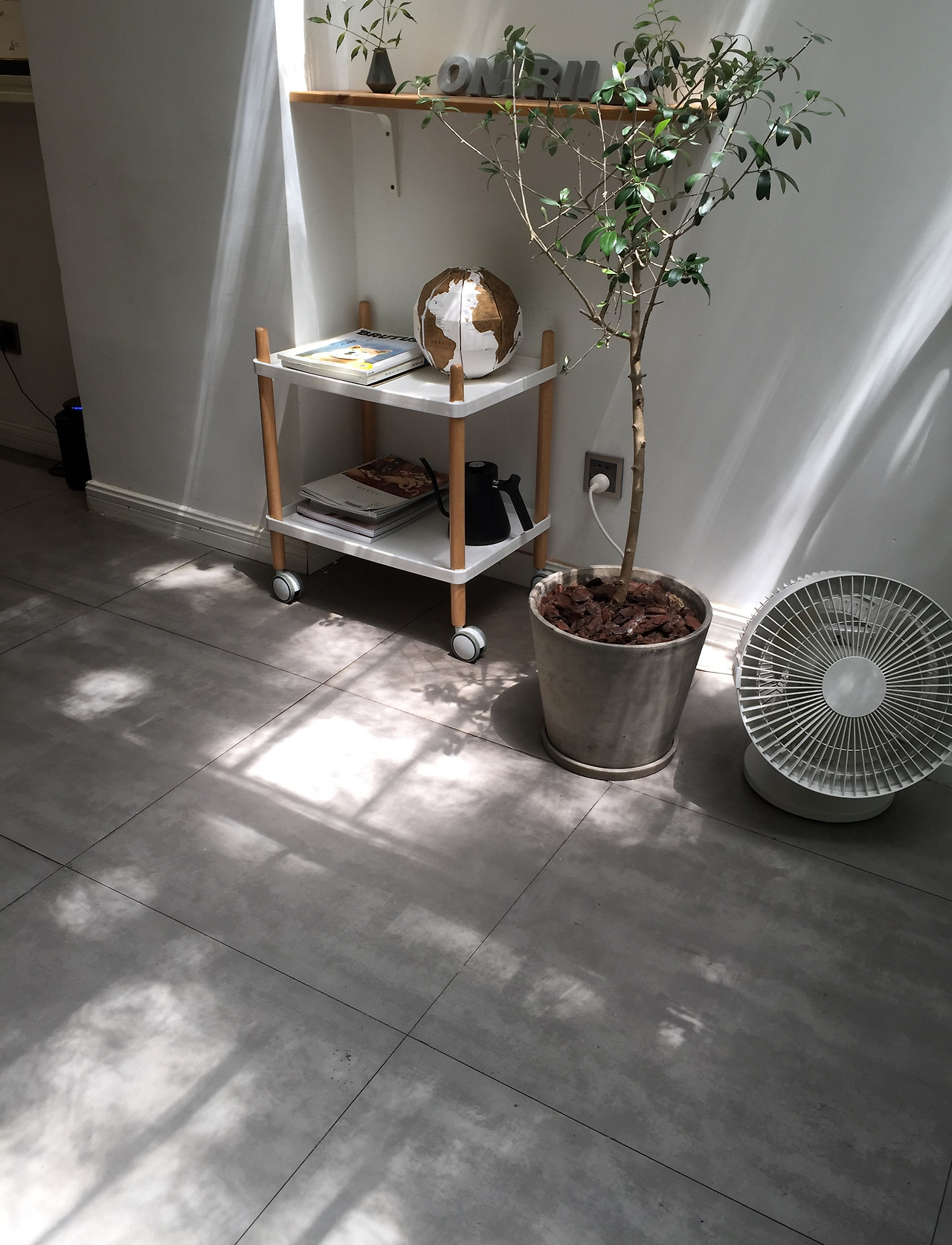 2017-08-22 121222.jpg