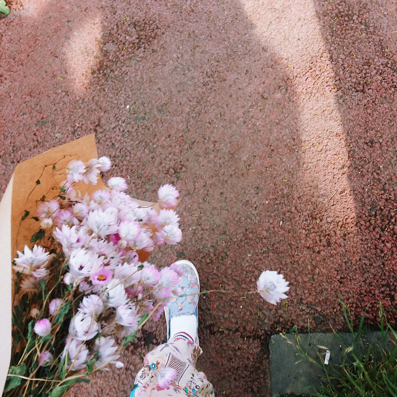 2017-04-26 04.05.30 1.jpg