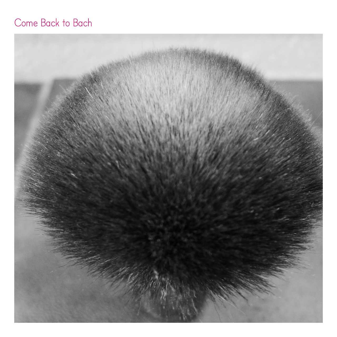 Come Back to Bach.jpg