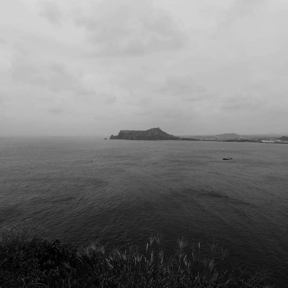 53725731_2561295933898689_1900227534730035200_n (1).jpg