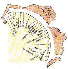 감각의 정도.jpg