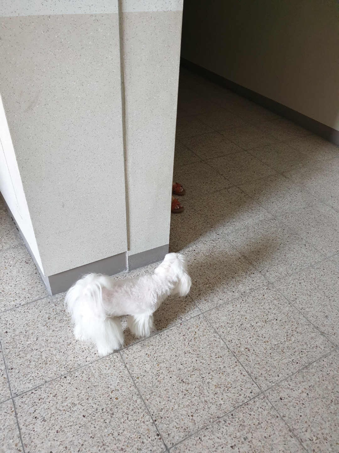 KakaoTalk_20190915_002357730.jpg