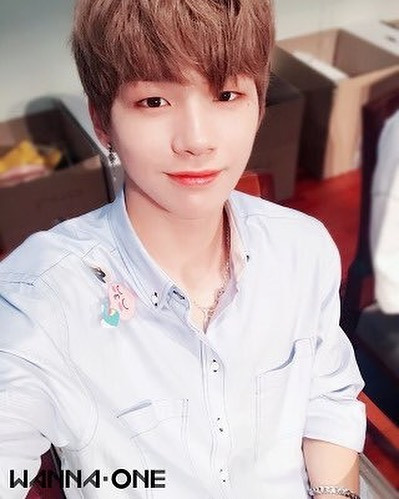 강다니엘.jpg