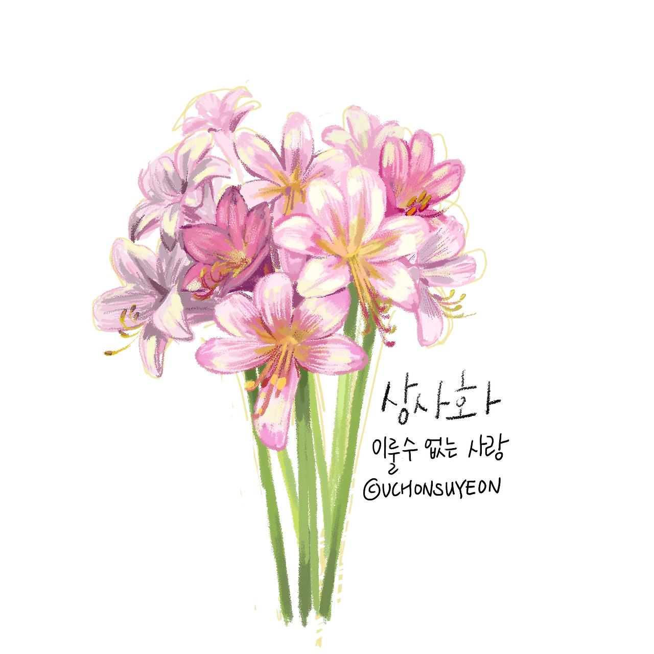 20200805 상사화.jpg