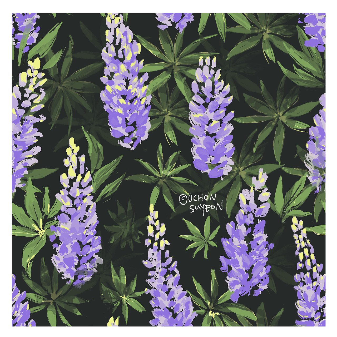20170625- 루피너스 Lupine-2.jpg
