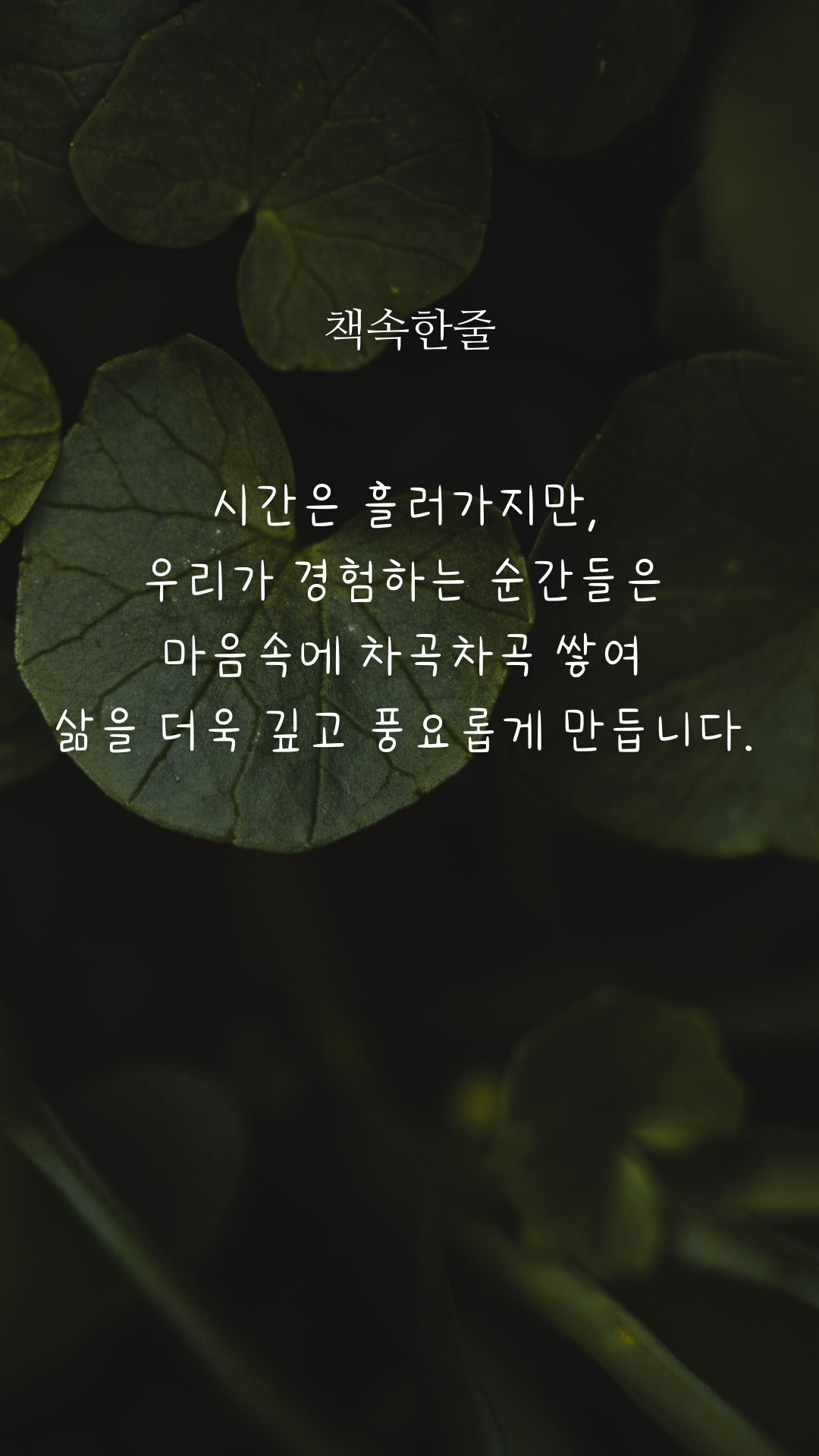 무료 카지노 게임
