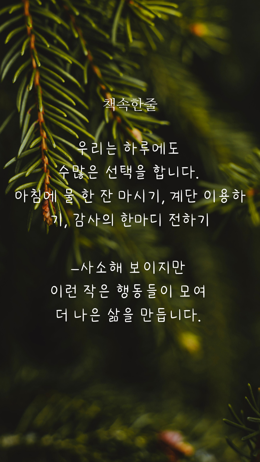 카지노 게임