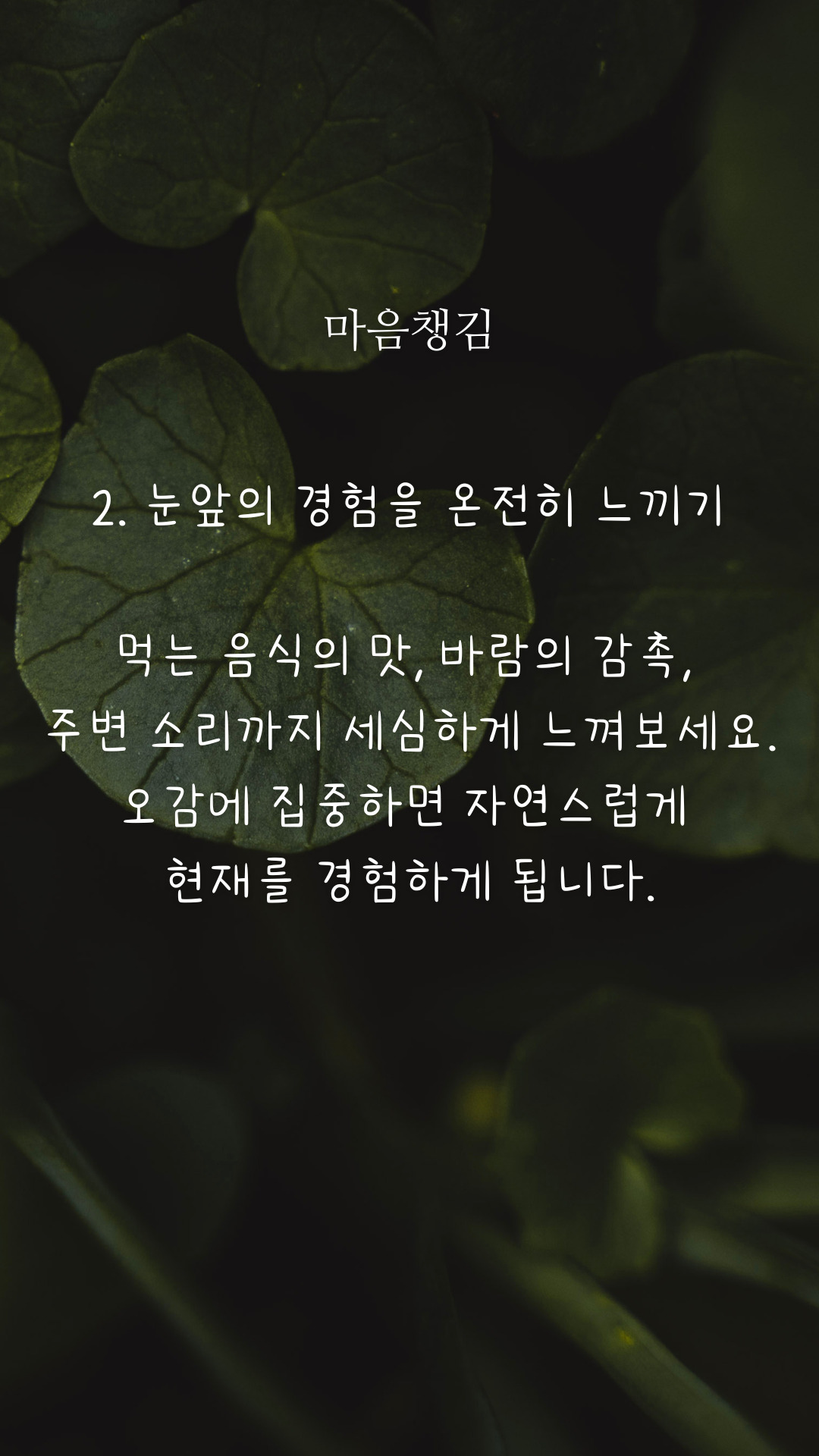 카지노 게임