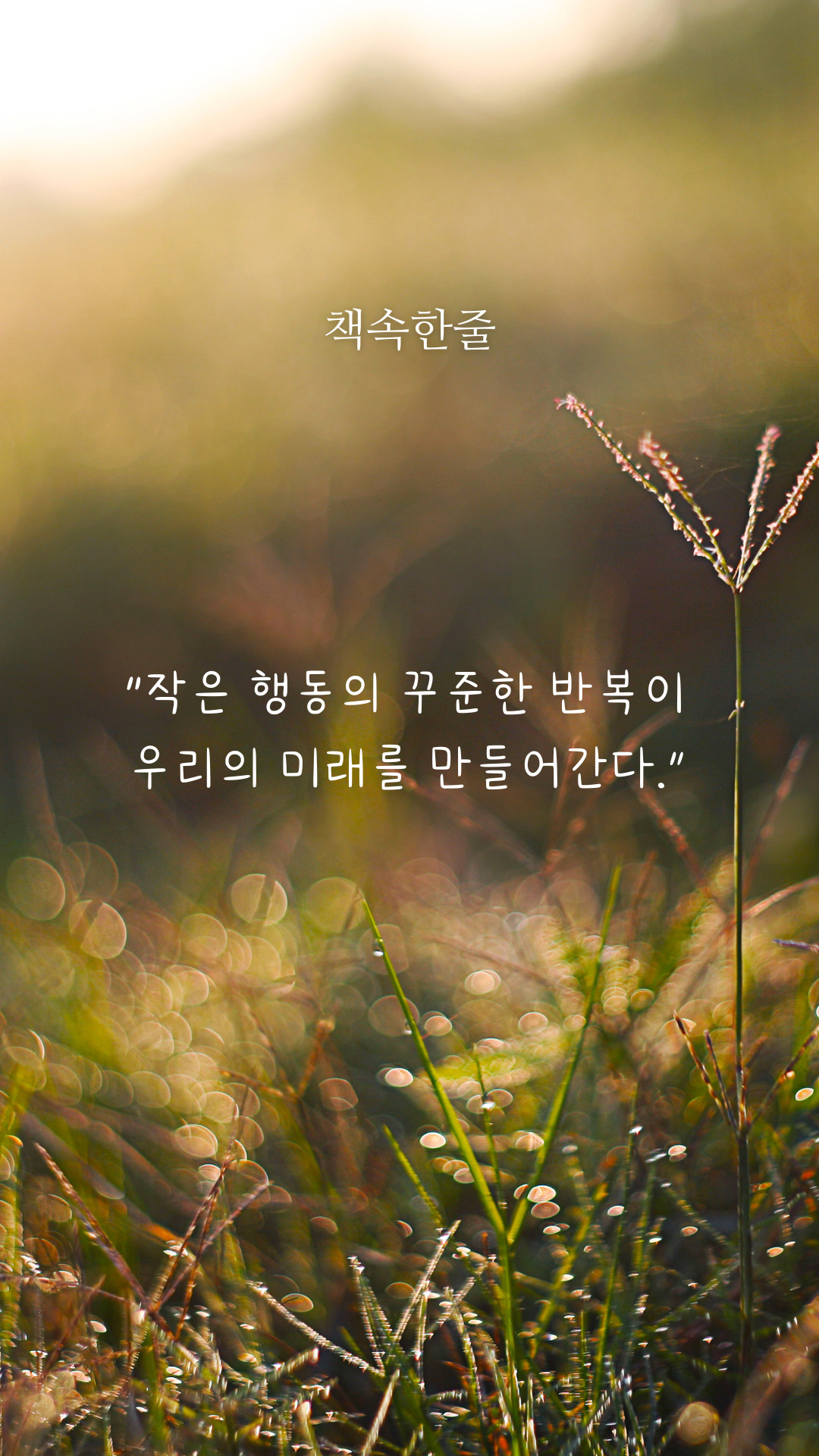 카지노 게임