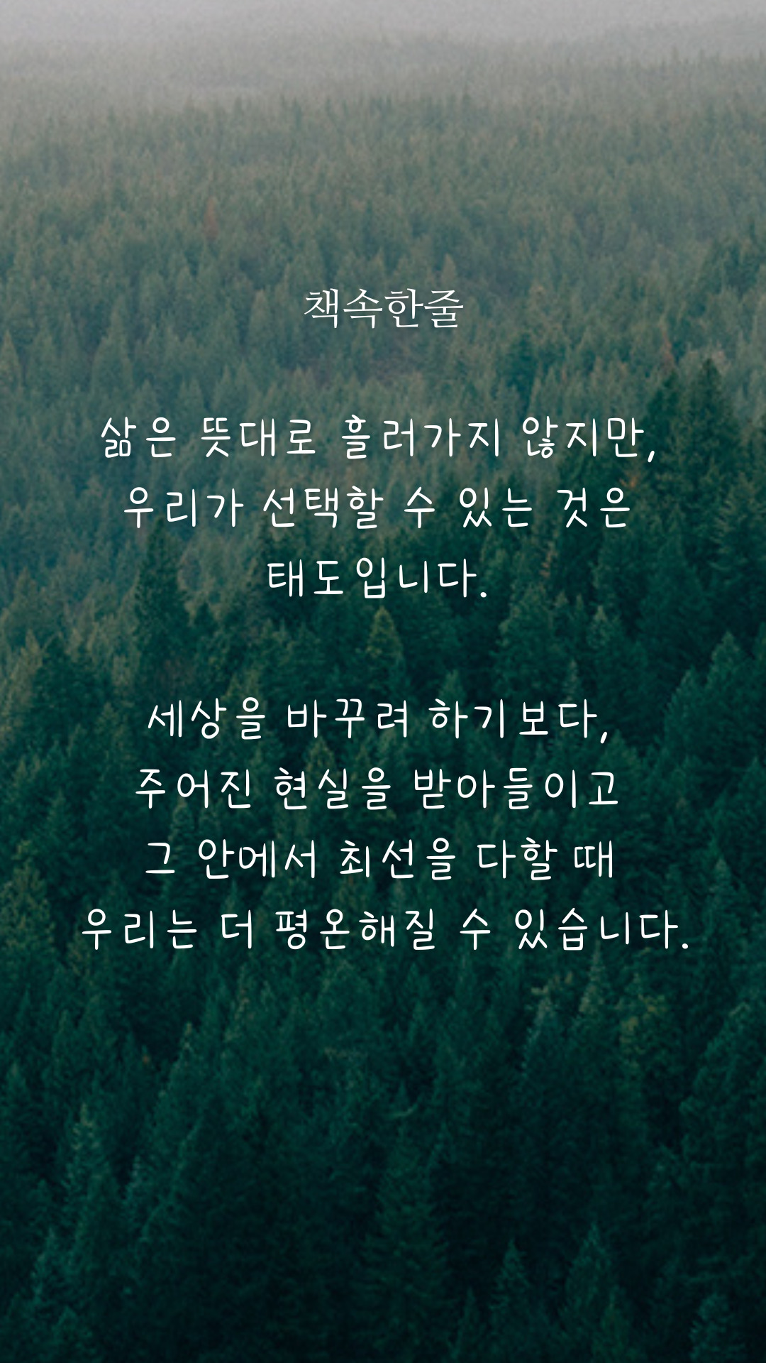 카지노 게임