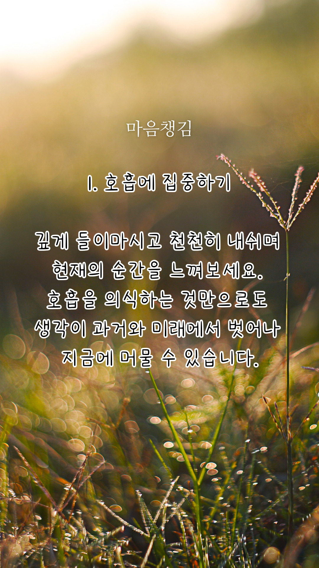카지노 게임