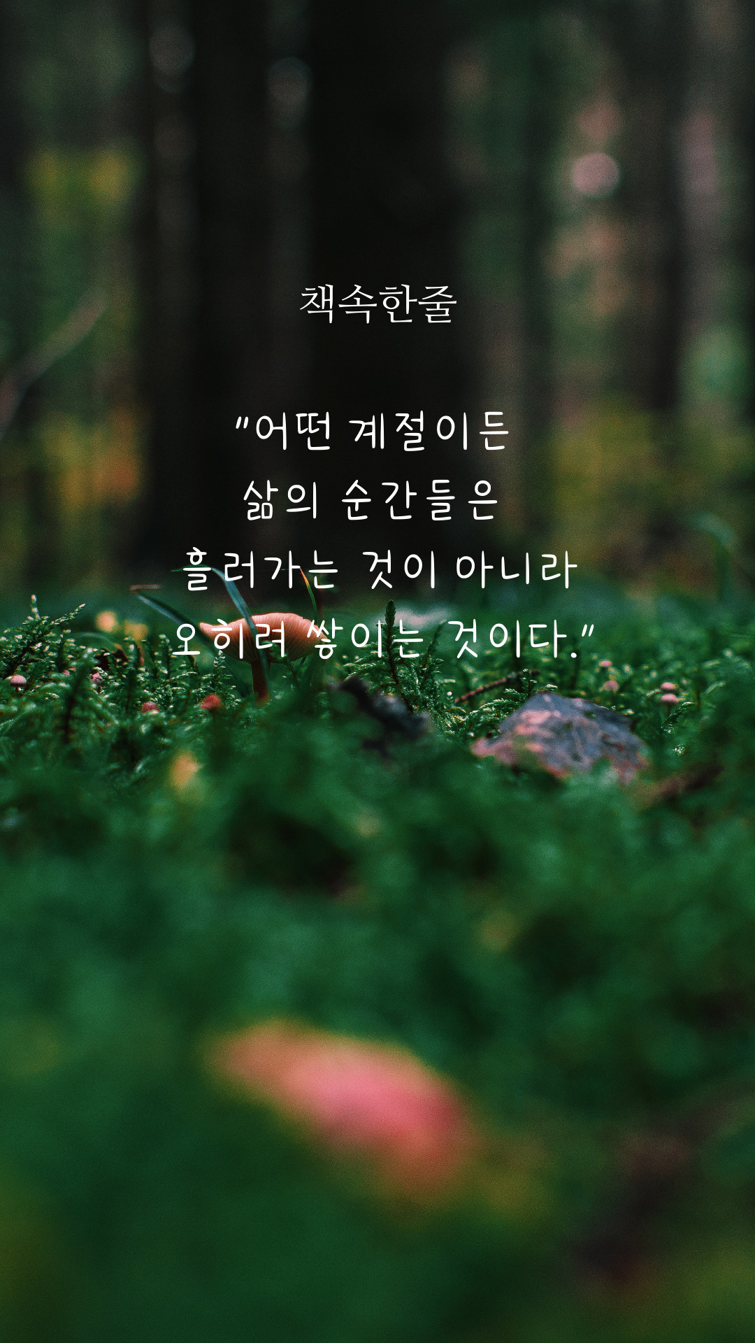 무료 카지노 게임