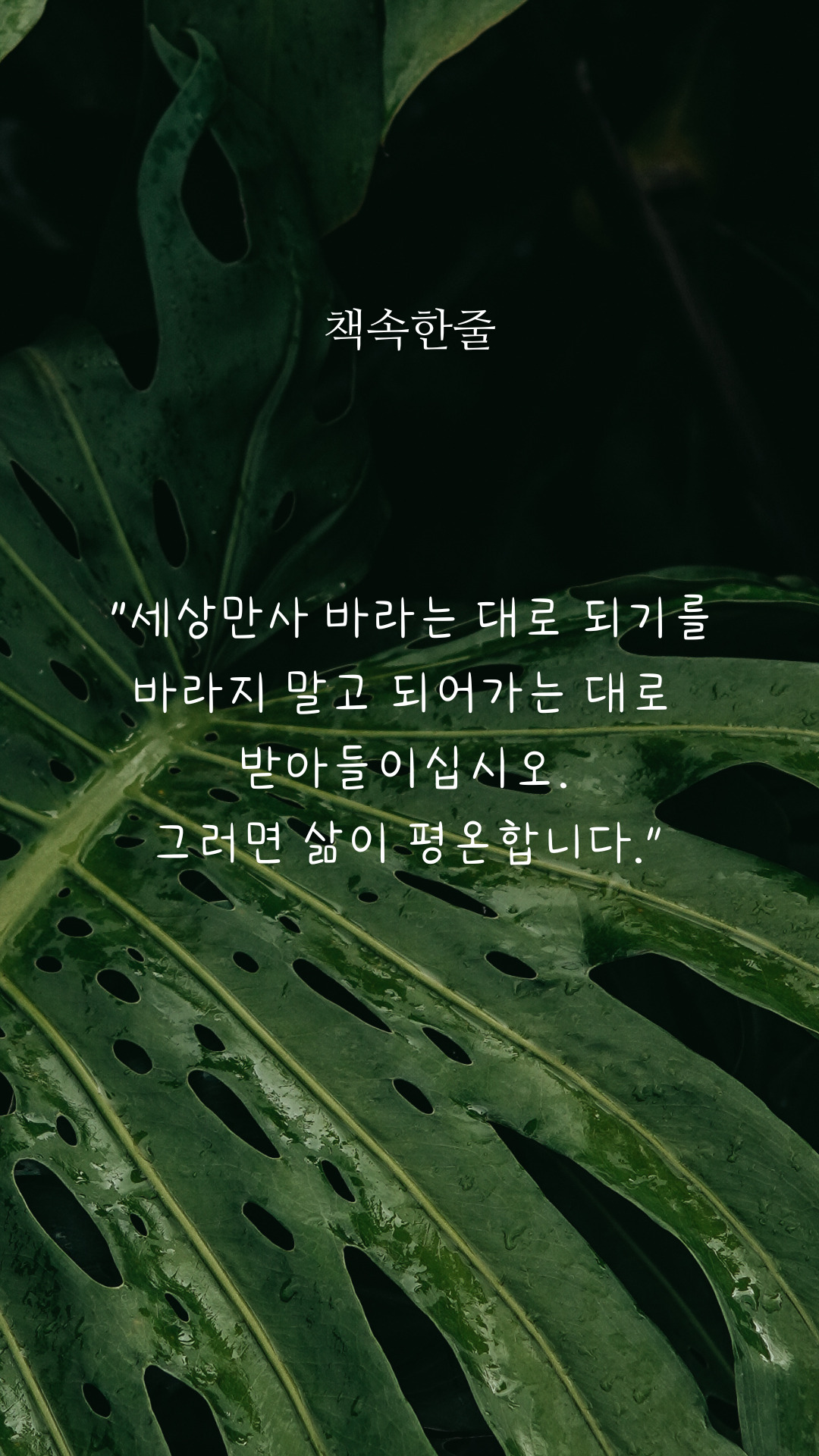 카지노 게임