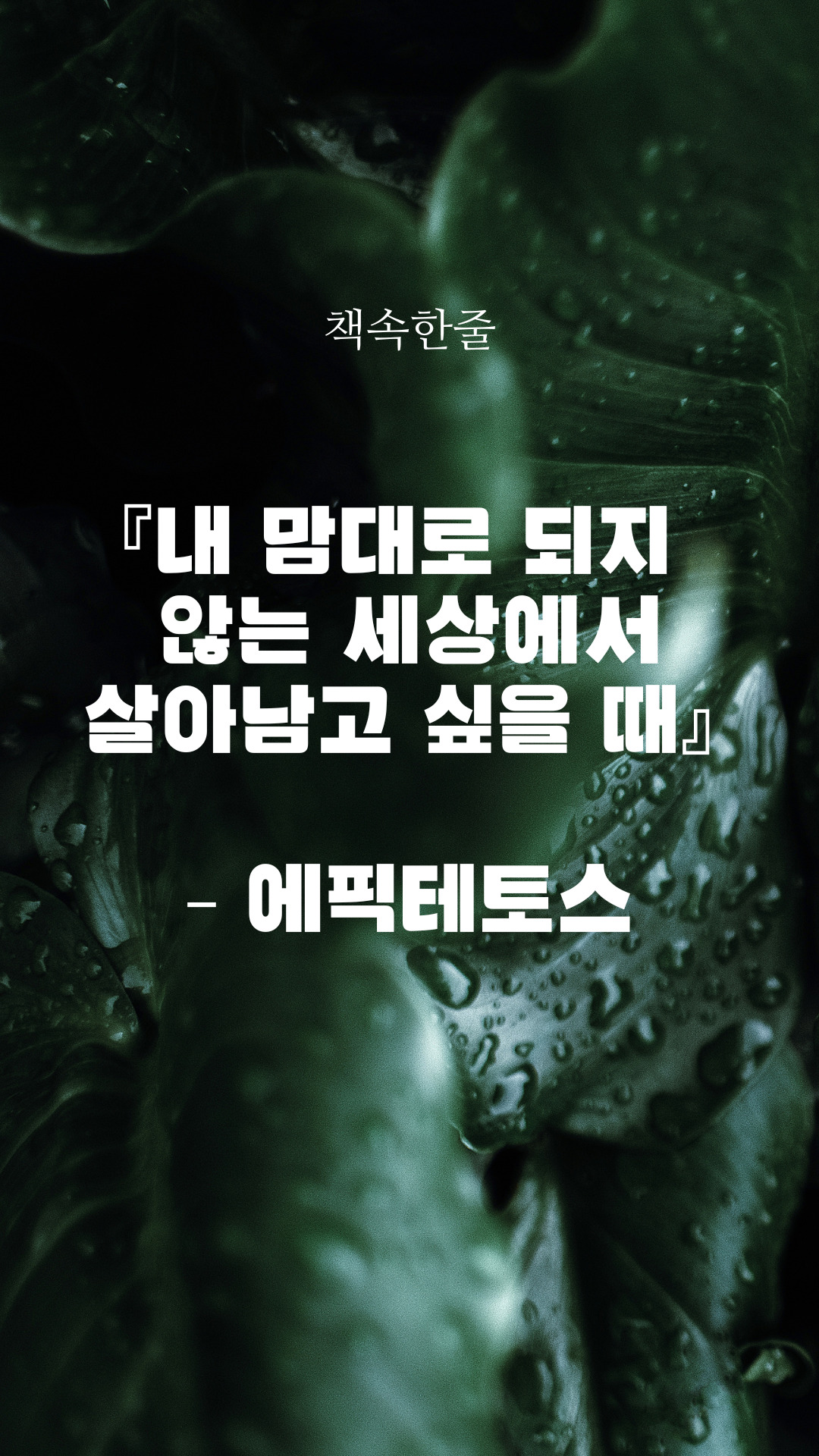 카지노 게임