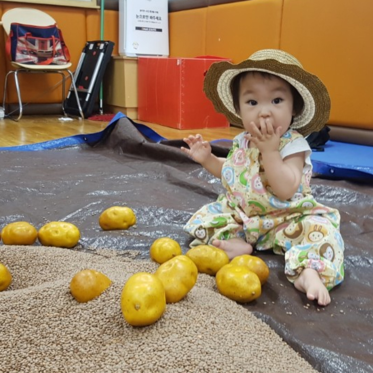 180619 곡식과 감자 농부솨--.jpg
